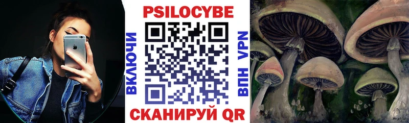 магазин  наркотиков  Мелеуз  МЕГА как зайти  Галлюциногенные грибы мицелий 